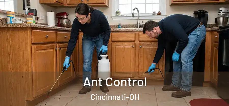 Ant Control Cincinnati-OH