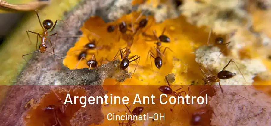 Argentine Ant Control Cincinnati-OH