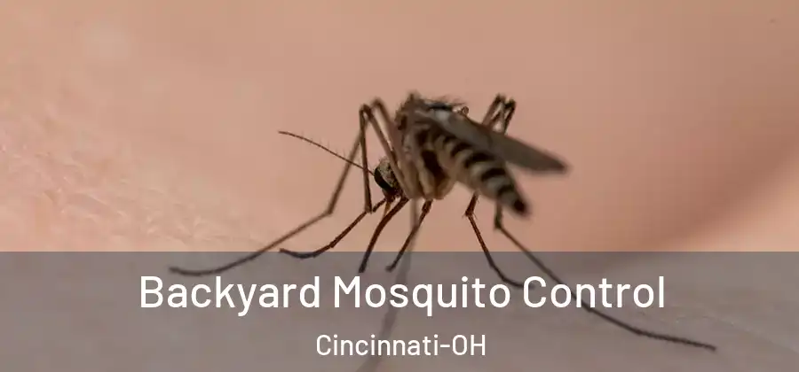 Backyard Mosquito Control Cincinnati-OH