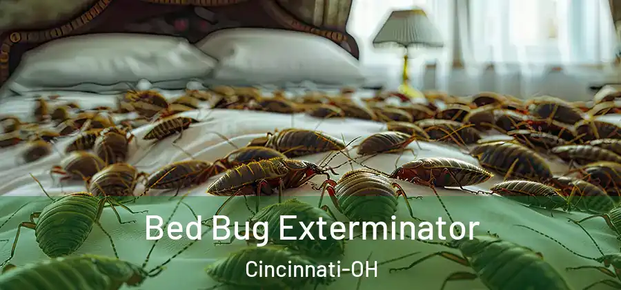 Bed Bug Exterminator Cincinnati-OH