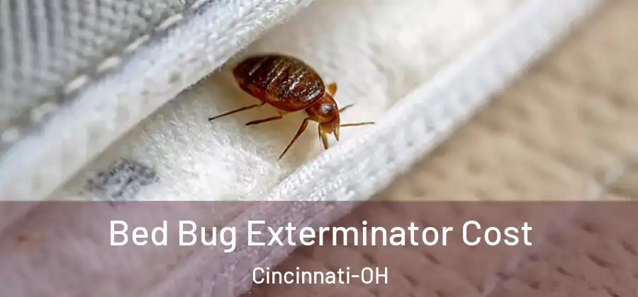 Bed Bug Exterminator Cost Cincinnati-OH