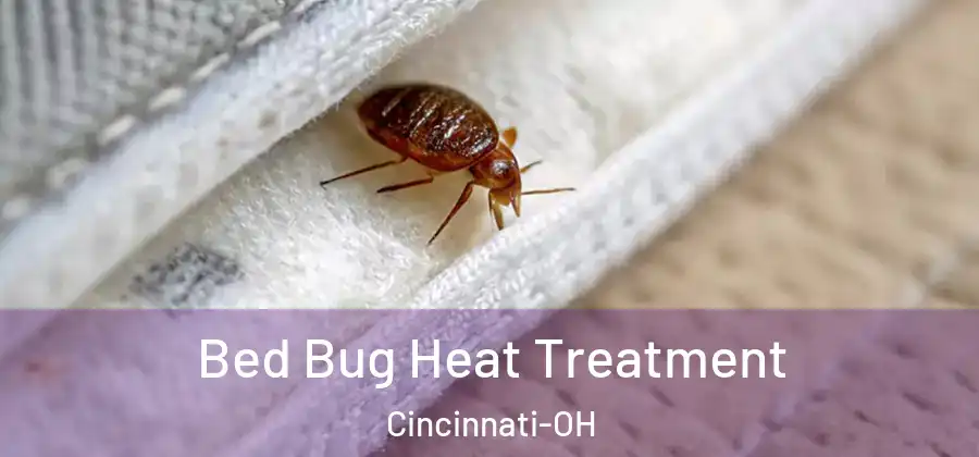 Bed Bug Heat Treatment Cincinnati-OH