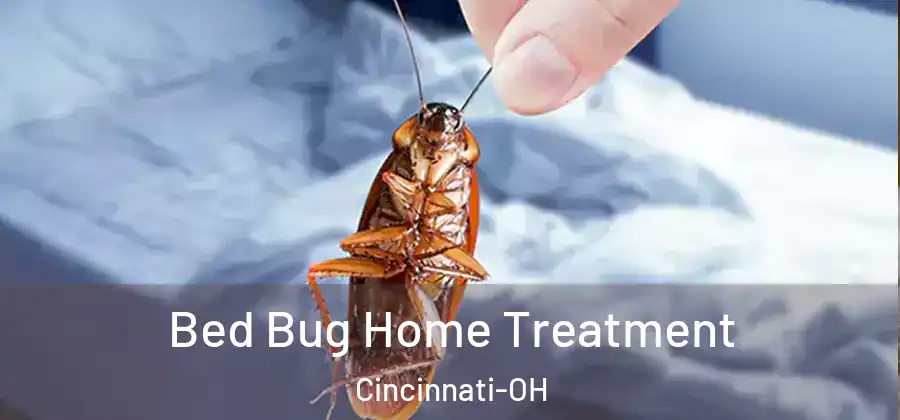 Bed Bug Home Treatment Cincinnati-OH