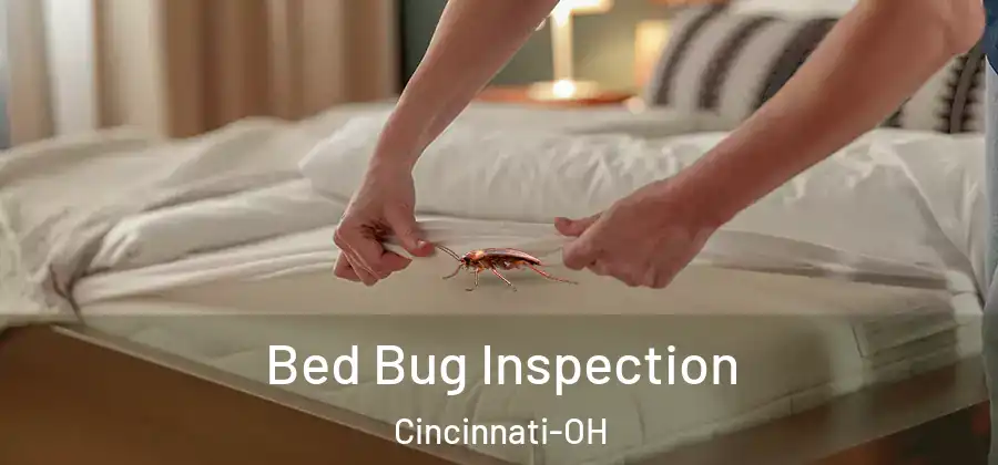 Bed Bug Inspection Cincinnati-OH