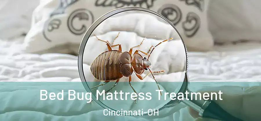 Bed Bug Mattress Treatment Cincinnati-OH