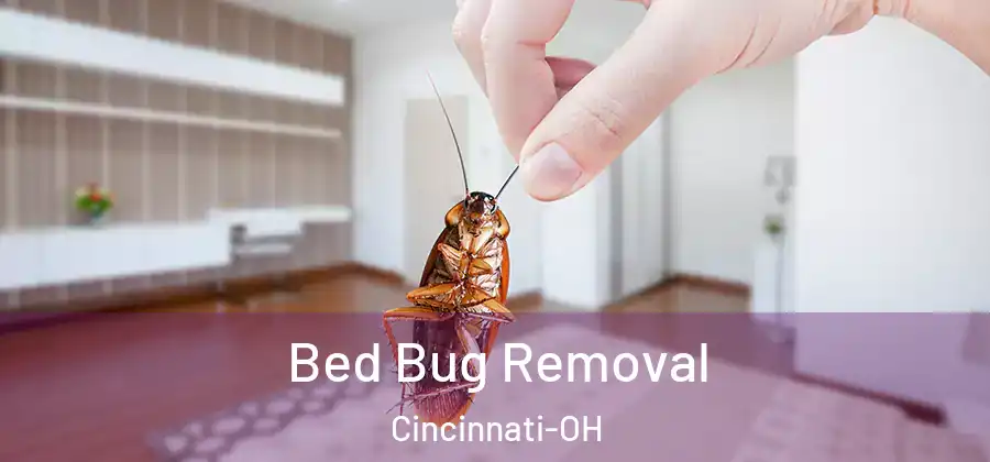 Bed Bug Removal Cincinnati-OH