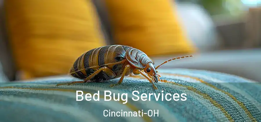 Bed Bug Services Cincinnati-OH