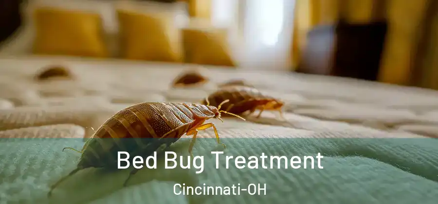 Bed Bug Treatment Cincinnati-OH