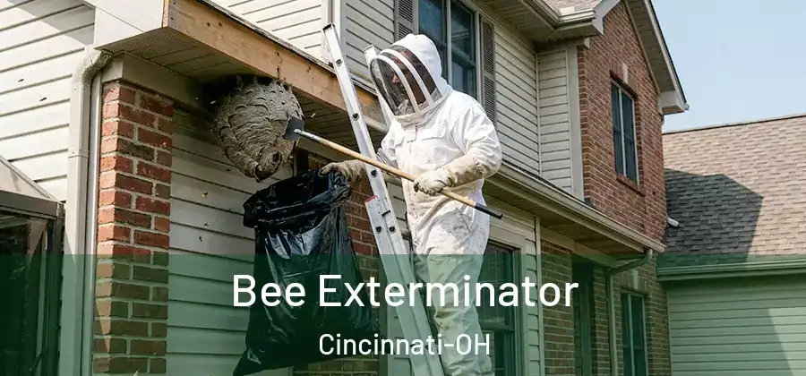 Bee Exterminator Cincinnati-OH