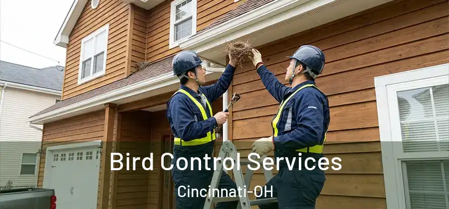 Bird Control Services Cincinnati-OH