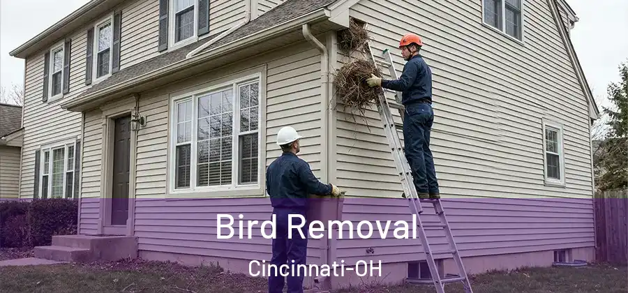 Bird Removal Cincinnati-OH