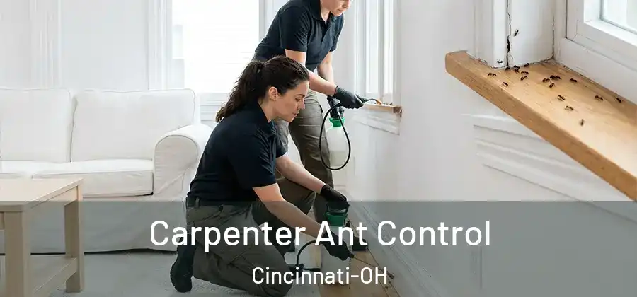 Carpenter Ant Control Cincinnati-OH