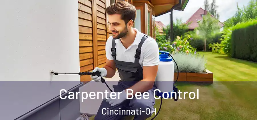 Carpenter Bee Control Cincinnati-OH