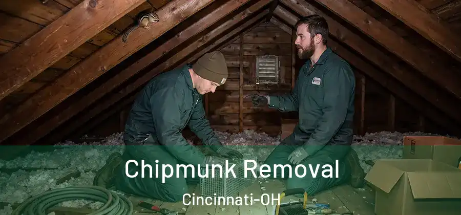 Chipmunk Removal Cincinnati-OH