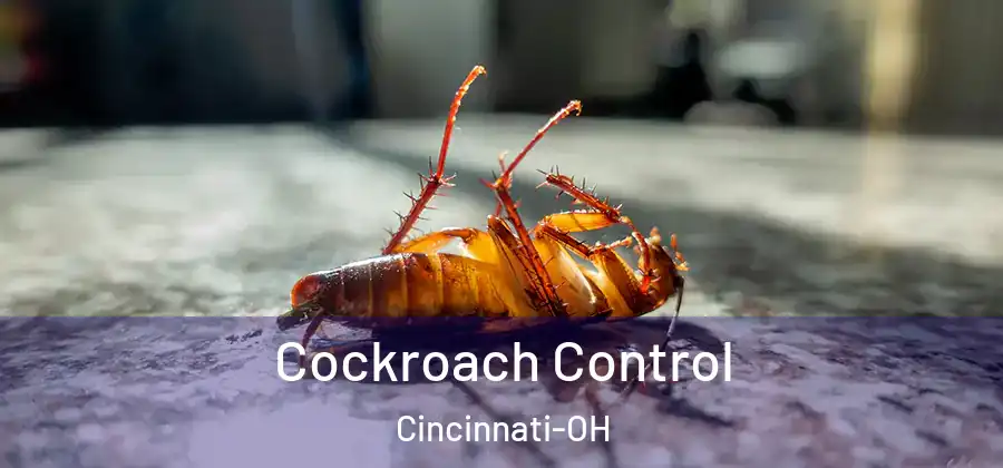 Cockroach Control Cincinnati-OH