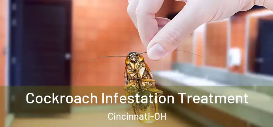 Cockroach Infestation Treatment Cincinnati-OH