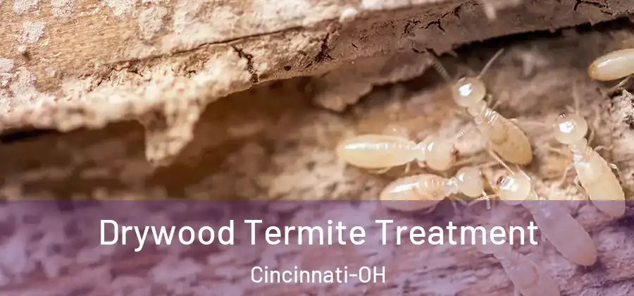 Drywood Termite Treatment Cincinnati-OH