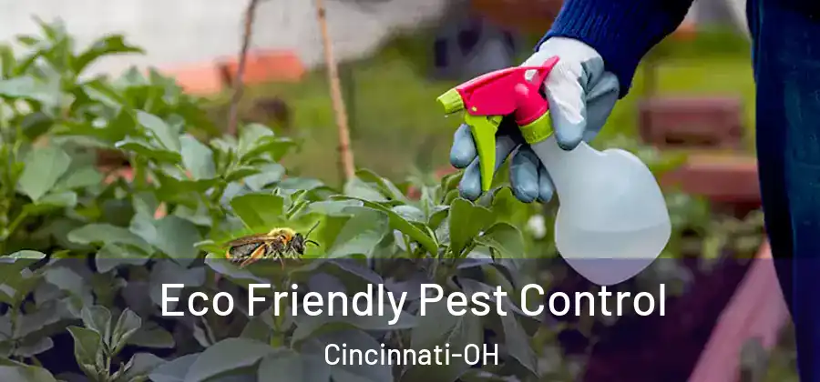 Eco Friendly Pest Control Cincinnati-OH