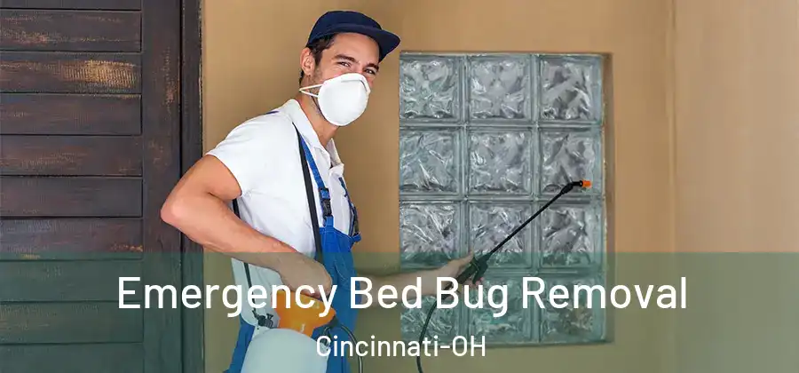 Emergency Bed Bug Removal Cincinnati-OH