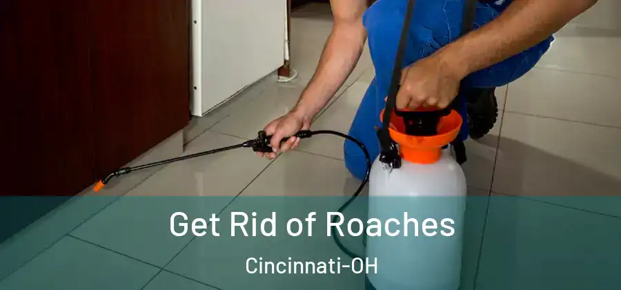 Get Rid of Roaches Cincinnati-OH