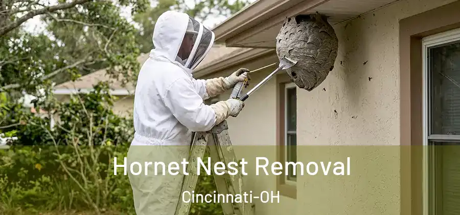 Hornet Nest Removal Cincinnati-OH