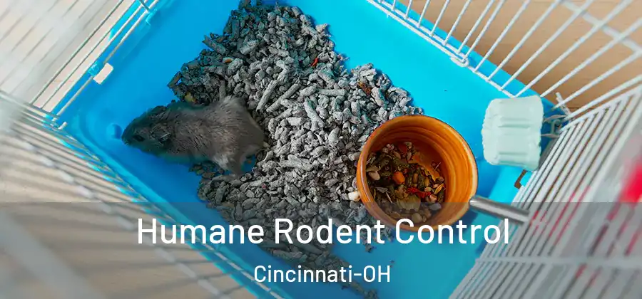 Humane Rodent Control Cincinnati-OH