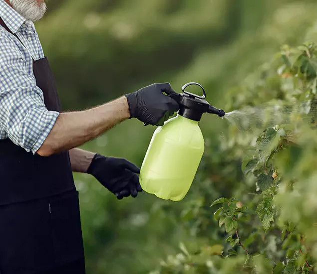 Your Proven Mosquito Treatment Company in Cincinnati, OH