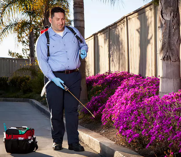 About Our Eco Safe Pest Control Experts in Cincinnati, OH