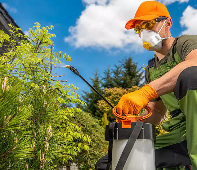 Your Best Bug Spray for Home Team in Cincinnati, OH