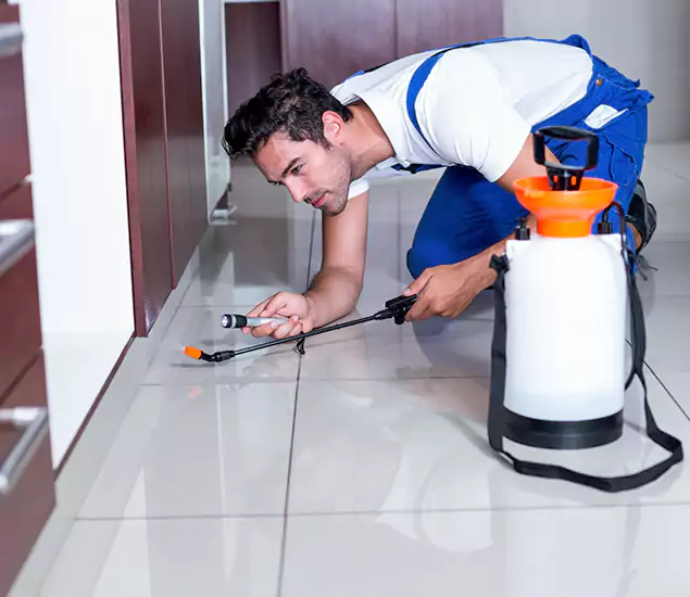 Reliable Professional Mouse Removal: Your Best Mouse Control Company in Cincinnati, OH
