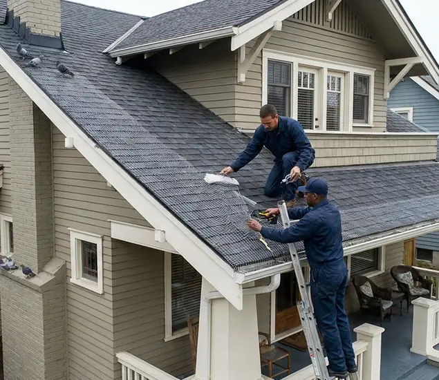 Your Pigeon Control Experts in Cincinnati, OH