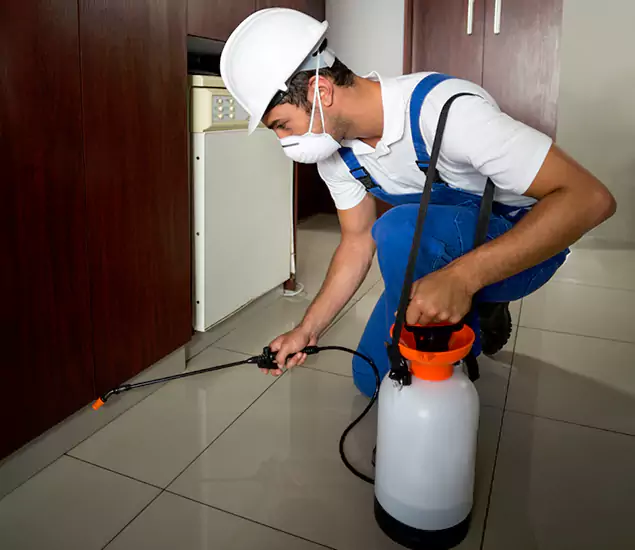 Advanced Termite Pre Treatment Experts in Cincinnati, OH