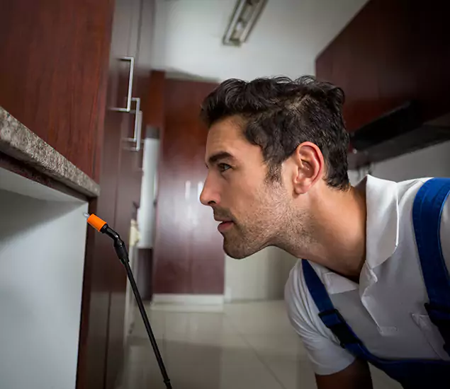 Expert Rodent in Attic Removal: Your Proven Pest Specialists in Cincinnati, OH
