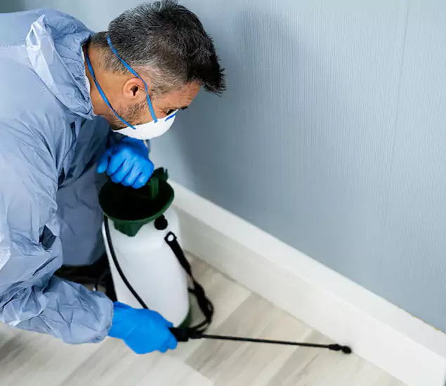 Reliable Termite Cost Experts in Cincinnati, OH
