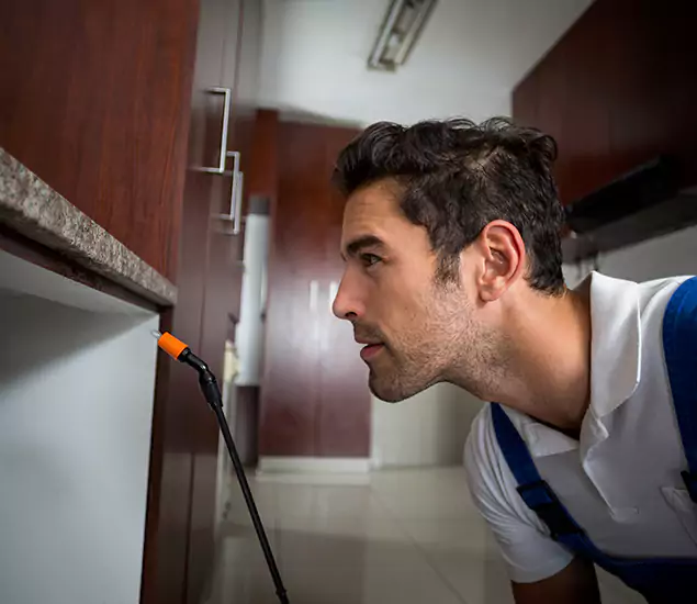 Termite Inspection Cost Experts You Can Trust in Cincinnati, OH