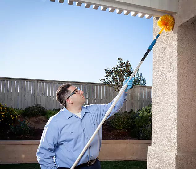 Your Trusted Wasp Removal Company in Cincinnati, OH