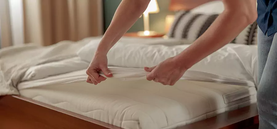 Bed Bug Extermination Services in Cincinnati