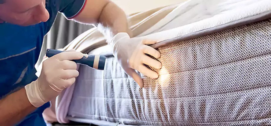 Residential Bed Bug Treatment Cost in Cincinnati