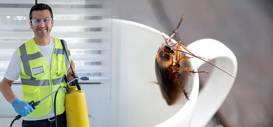 German Roach Infestation Treatment Cincinnati