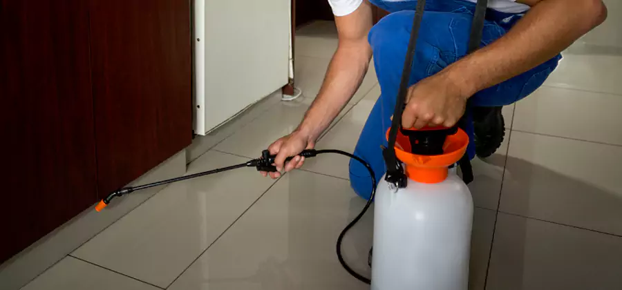 Indoor Mosquito Treatment in Cincinnati
