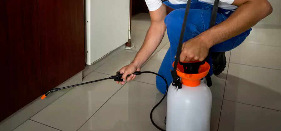 Indoor Insect Killer Solutions in Cincinnati
