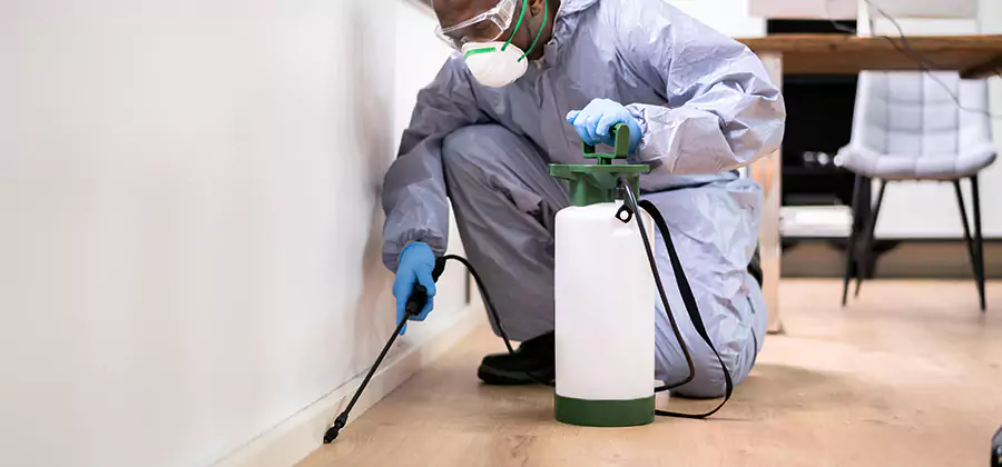 No Tent Termite Extermination With Electric Tool in Cincinnati