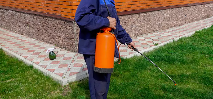Non Toxic Termite Treatment in Cincinnati