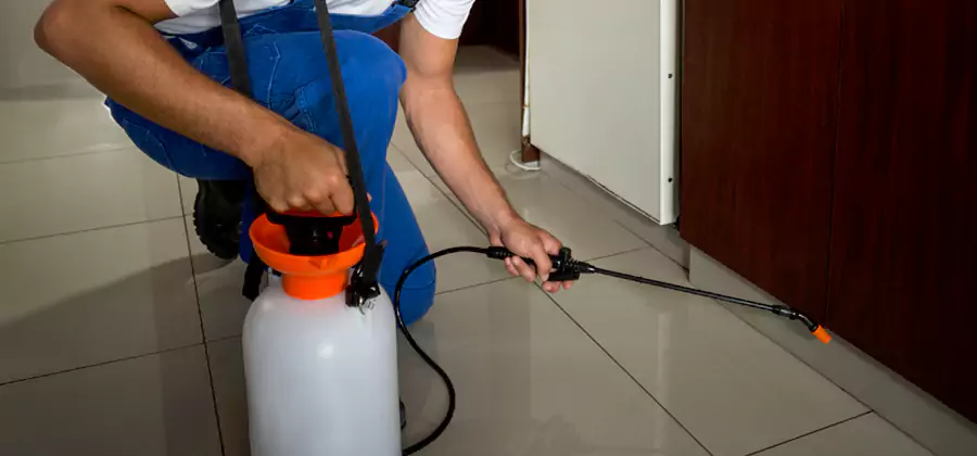 One Time Termite Control in Cincinnati