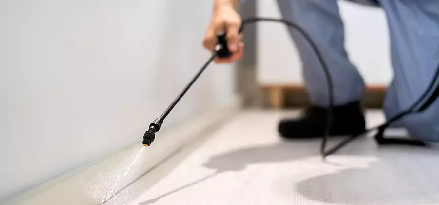 Direct Termite Injection Treatment in Cincinnati