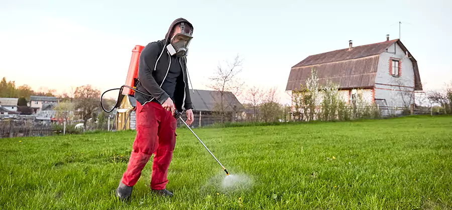 Flea and Tick Pest Control in Cincinnati