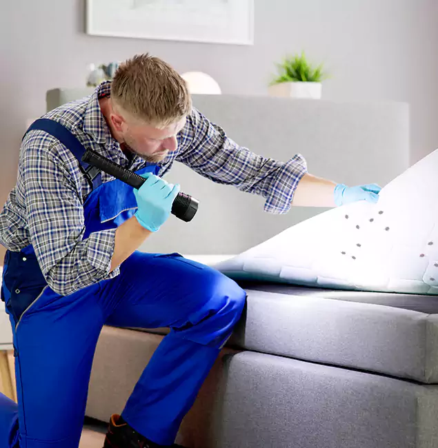 Why Choose Cincinnati Pest Control Pro For Bed Bug Heat Treatment in Cincinnati, OH?