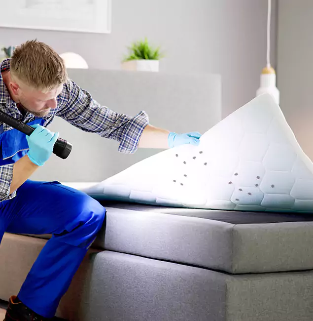 Why Choose Cincinnati Pest Control Pro in Cincinnati, OH?