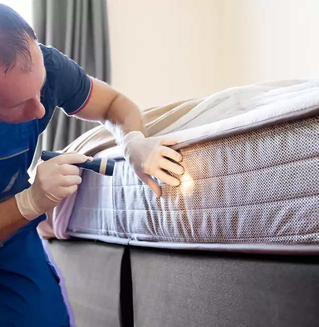 Why Choose Cincinnati Pest Control Pro for Bed Bug Services in Cincinnati, OH?