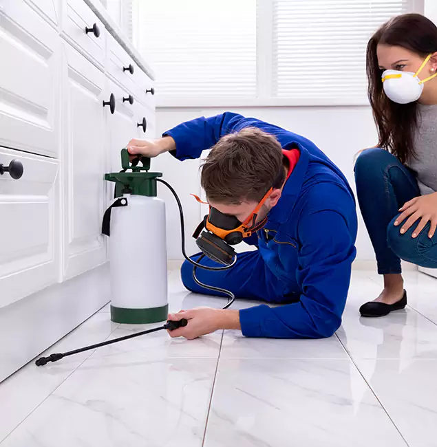 Why Choose Cincinnati Pest Control Pro in Cincinnati, OH?